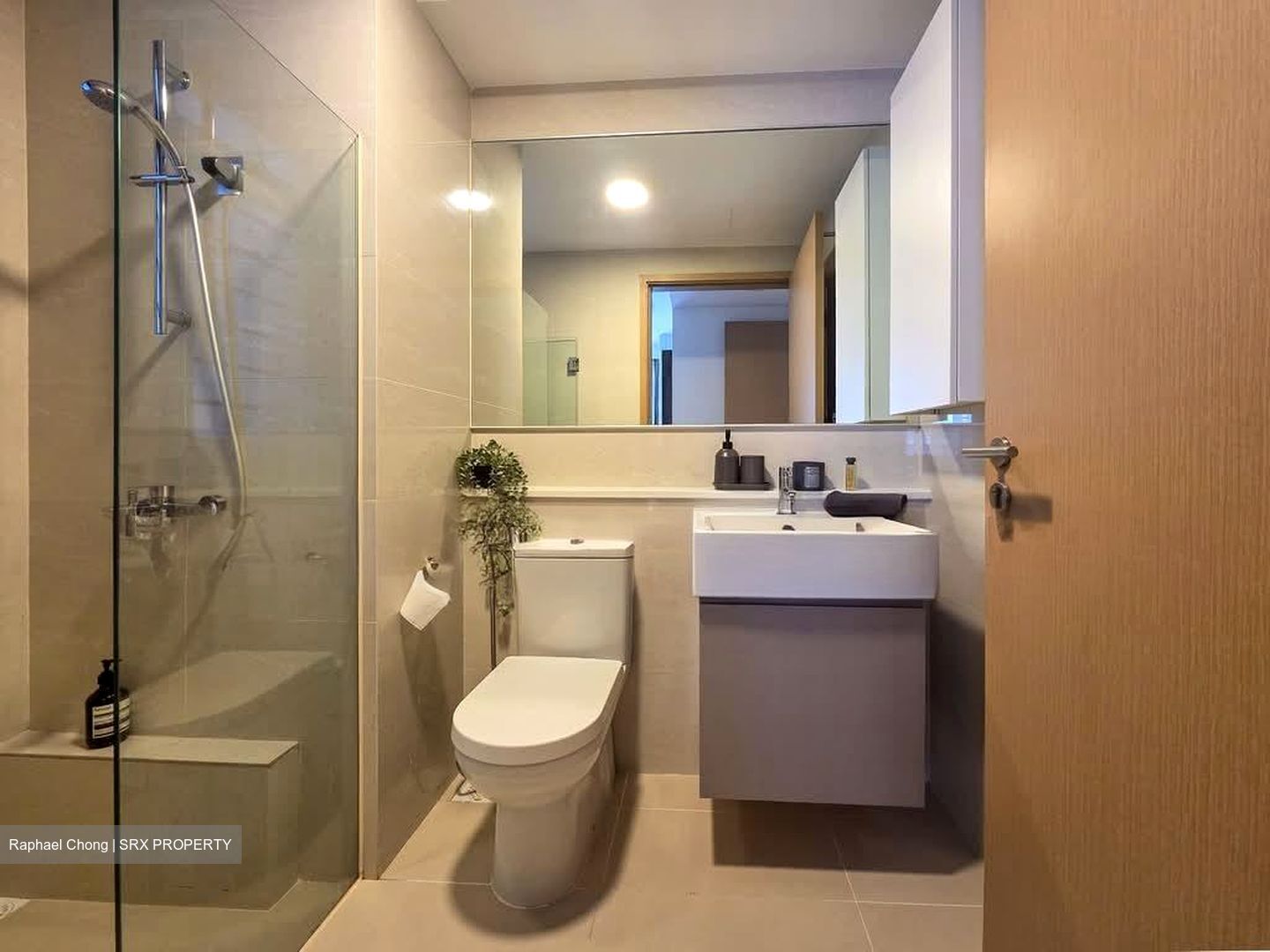 Twin Waterfalls (D19), Condominium #545468121